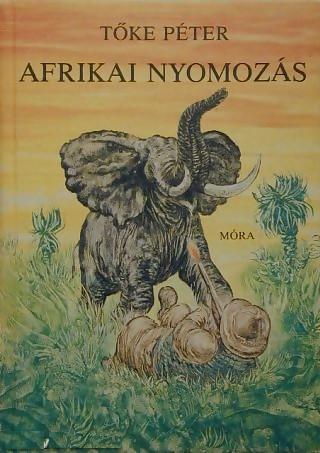 Afrikai nyomozás